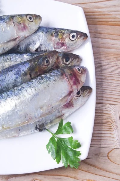 Peixe: saborosas sardinhas frescas — Fotografia de Stock