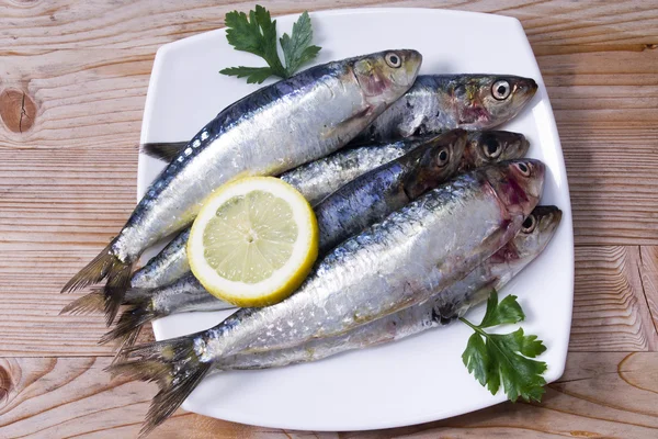 Pescado: sabrosas sardinas frescas — Foto de Stock