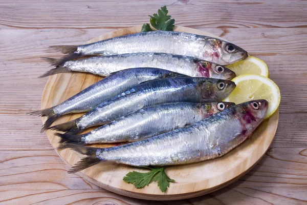Fisk: läckra färska sardiner — Stockfoto