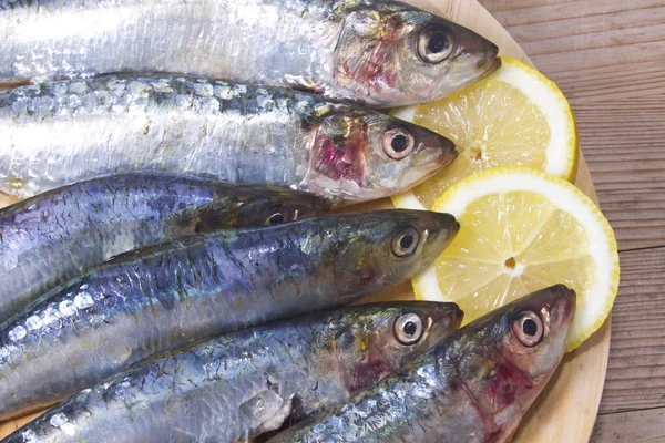 Peixe: saborosas sardinhas frescas — Fotografia de Stock