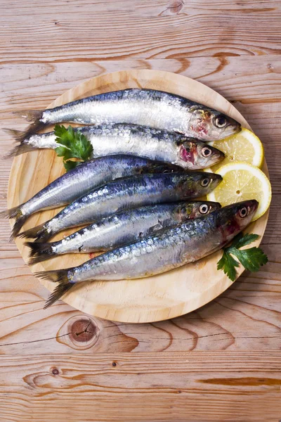 鱼︰ 美味的新鲜沙丁鱼 — 图库照片
