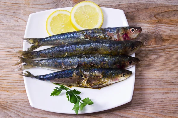 Fisk dis: läckra Grillade sardiner — Stockfoto