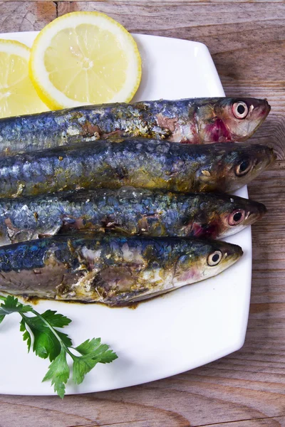 Fisk dis: läckra Grillade sardiner — Stockfoto