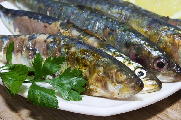 Fish dis: tasty  grilled sardines — Stock Photo, Image