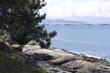 deniz manzarası beyaz kumları ve mavi deniz