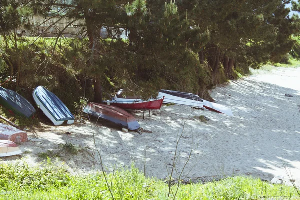 Bateaux de pêche ancrés dans la plage sable entre les arbres — Photo