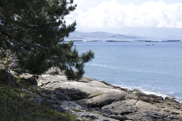 Meereslandschaft weißer Sand und blaues Meer — Stockfoto