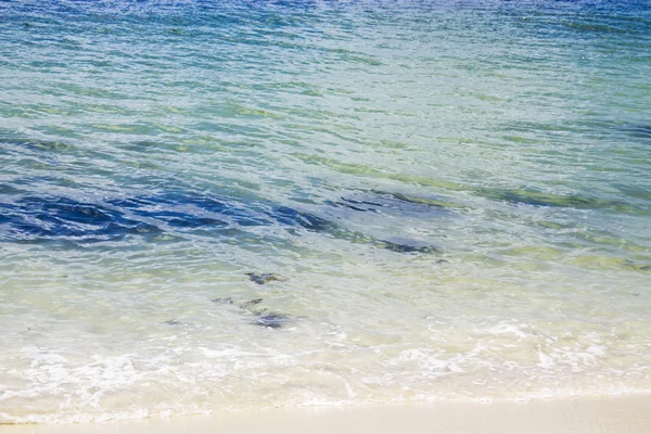 Paisagem marinha areia branca e mar azul — Fotografia de Stock