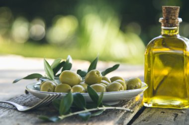 zeytin yeşil dallar ile kase