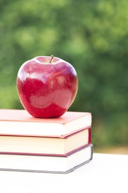 yeşil zemin üzerine okula geri kavramı