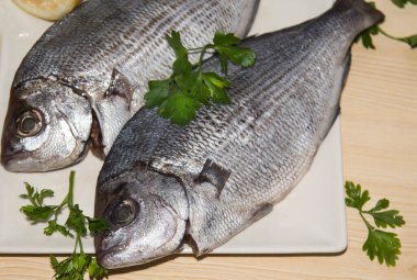 Taze çipura ya da maydanozlu çipura.