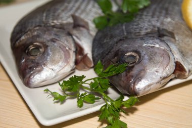 Taze çipura ya da maydanozlu çipura.