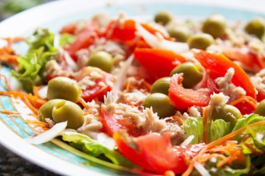 salata tabağı marul, domates, soğan ve zeytin, diyet ve sağlık kavramı