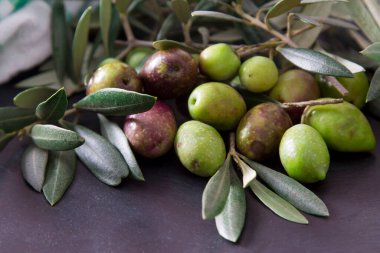 Masada dalı olan zeytinler