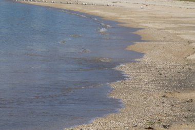 Sahildeki deniz kıyısının arka planı