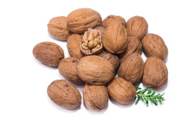 Beyaz üzerine izole edilmiş ceviz grubu