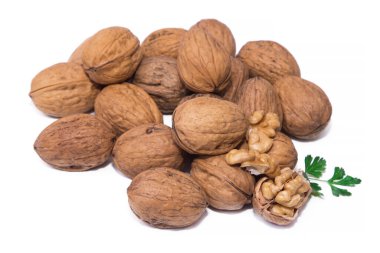 Beyaz üzerine izole edilmiş ceviz grubu