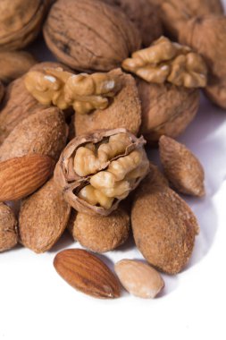 Ceviz ve fındık üzerinde beyaz izole