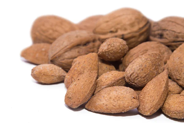 Nueces Avellanas Aisladas Blanco —  Fotos de Stock