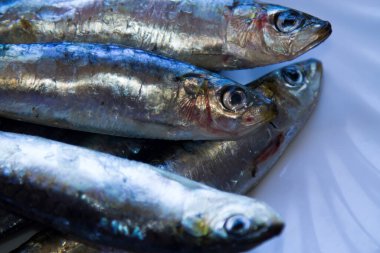 Tabakta taze sardalya tabağı