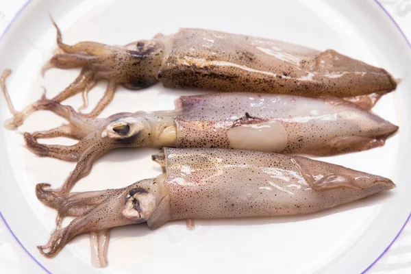 Squid Cuttlefish White Plate — Fotografia de Stock