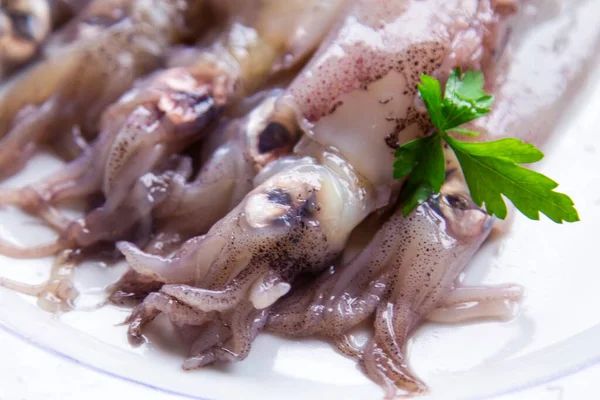 Seafood Dish Squid Fresh Cuttlefish Parsley — Stock fotografie