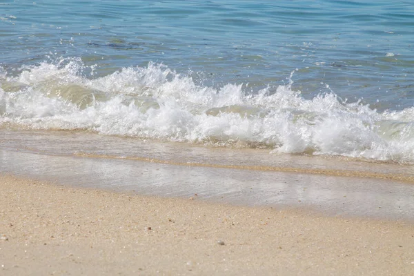 landscape of the beach with sea and sand