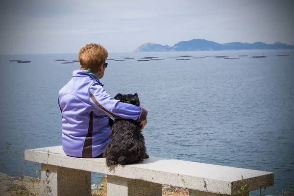 Femme Solitaire Avec Son Chien Regardant Mer — Photo