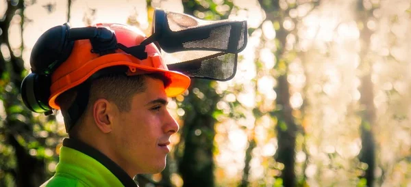 portrait of forest worker wearing protective helmet in the forest