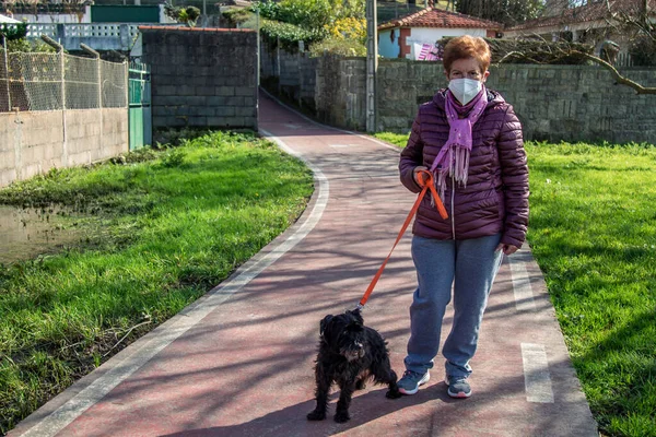 Porträt Einer Seniorin Mit Medizinischer Einmalmaske Und Ihrem Hund Beim — Stockfoto