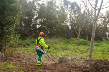 Forestry worker cutting the grass