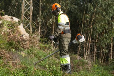 Forestry worker in the montain