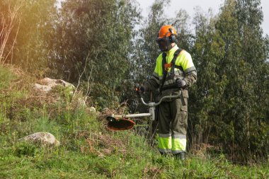 Forestry worker in the montain