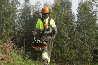 Forestry worker in the montain