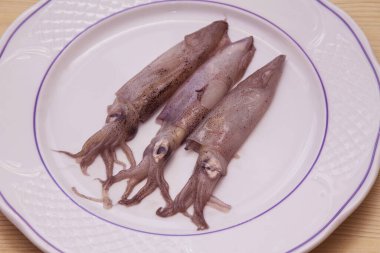 fresh squid on the plate