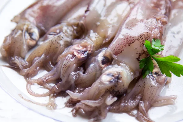 Seafood Dish Squid Fresh Cuttlefish Parsley — Stock fotografie