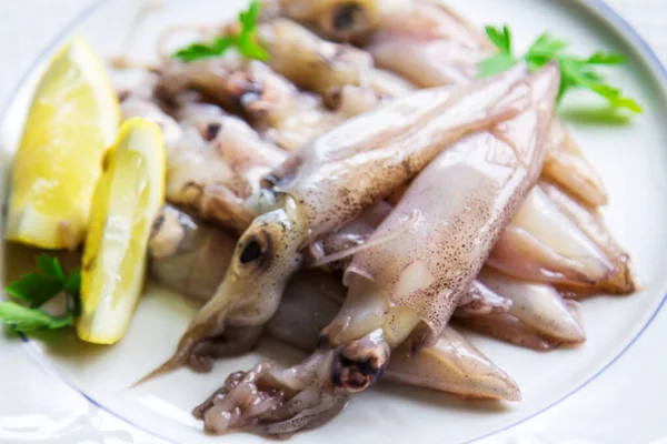 Calamari Freschi Con Limone Prezzemolo Sul Piatto — Foto Stock
