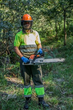 forest worker working in the forest with chainsaw