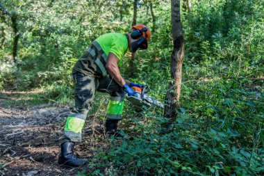  forest man working with chainsaw in forest