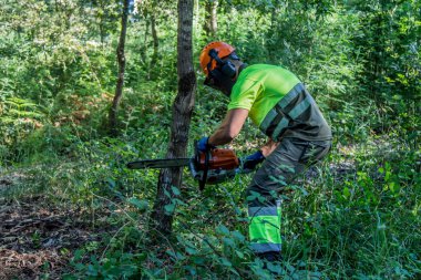  forest man working with chainsaw in forest