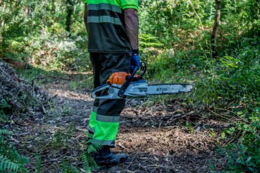 galicia, spain july 10, 2020: forest man working with chainsaw in forest