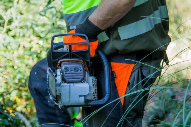 galicia, spain july 10, 2020: forest man working with chainsaw in forest