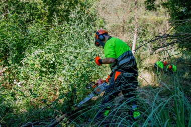  forest man working with chainsaw in forest