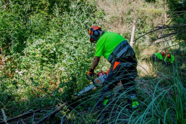  forest man working with chainsaw in forest