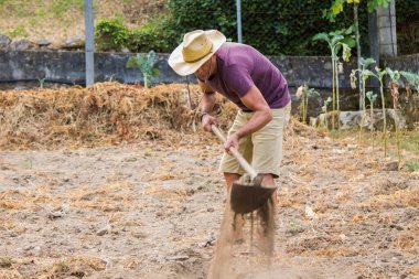 farmer making or harvesting the farm land