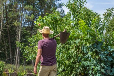 Tarlalarında ya da ekinlerinde yürüyen çiftçi