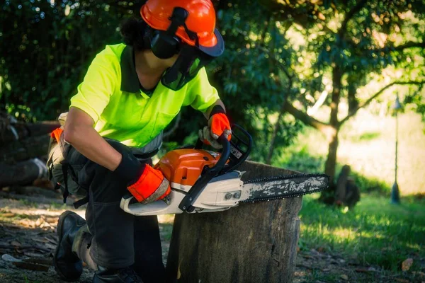 woman lumberjack or forest worker cutting tree trunk with chainsaw