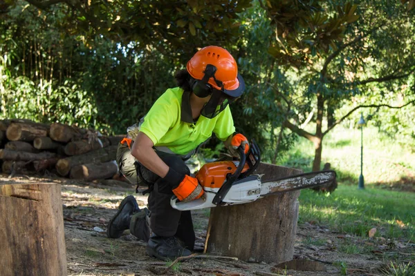 woman lumberjack or forest worker cutting tree trunk with chainsaw