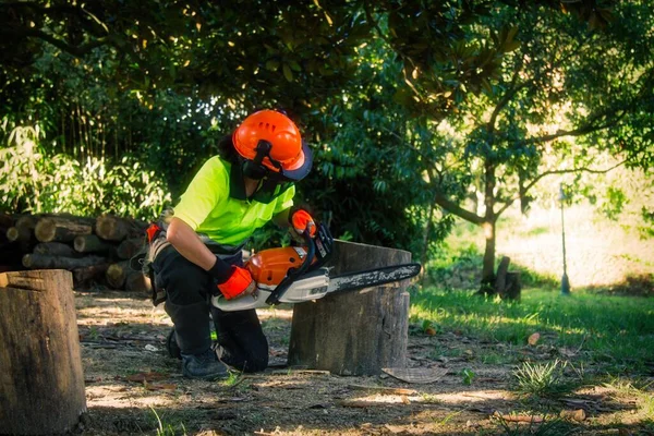 woman lumberjack or forest worker cutting tree trunk with chainsaw