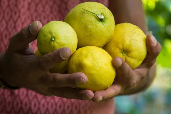 Man Som Håller Färska Citroner Händerna — Stockfoto